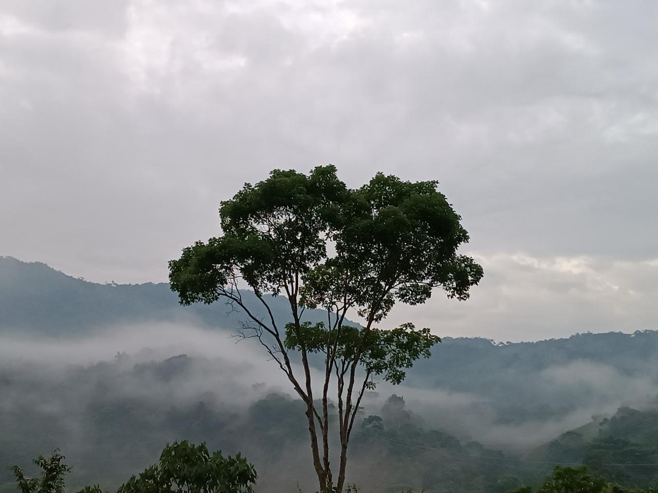 Paisaje de carretera andina en Colombia